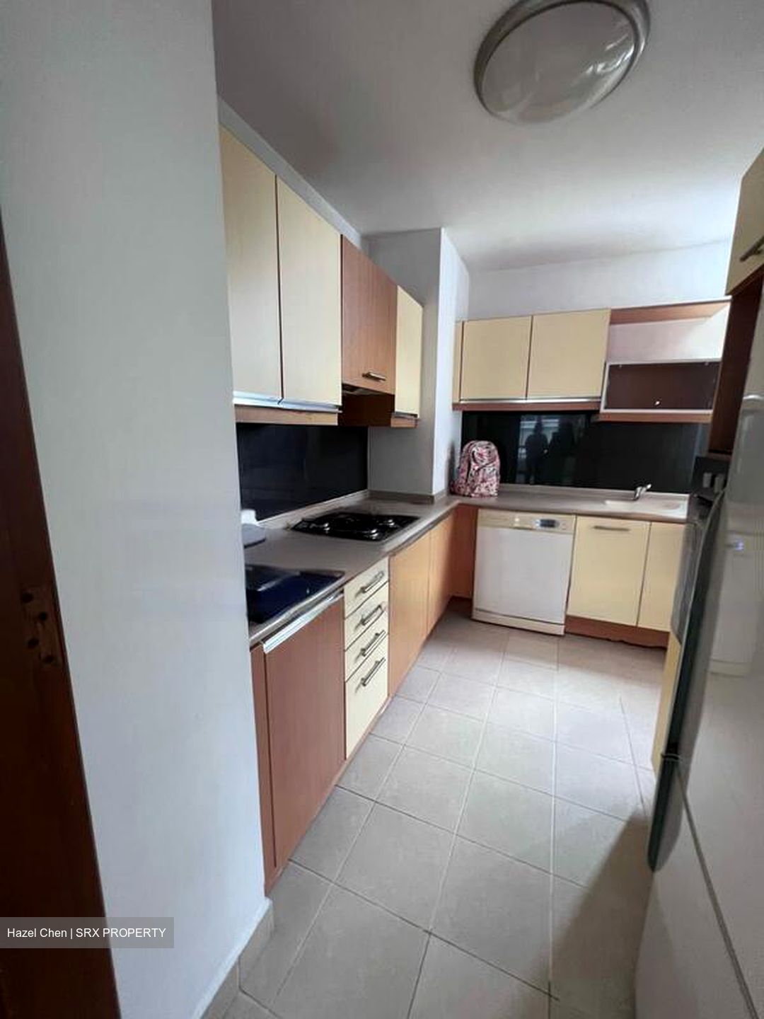 The Balmoral Spring (D10), Apartment #481357891